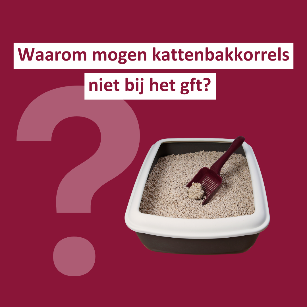 Kattenbakkorrels 1