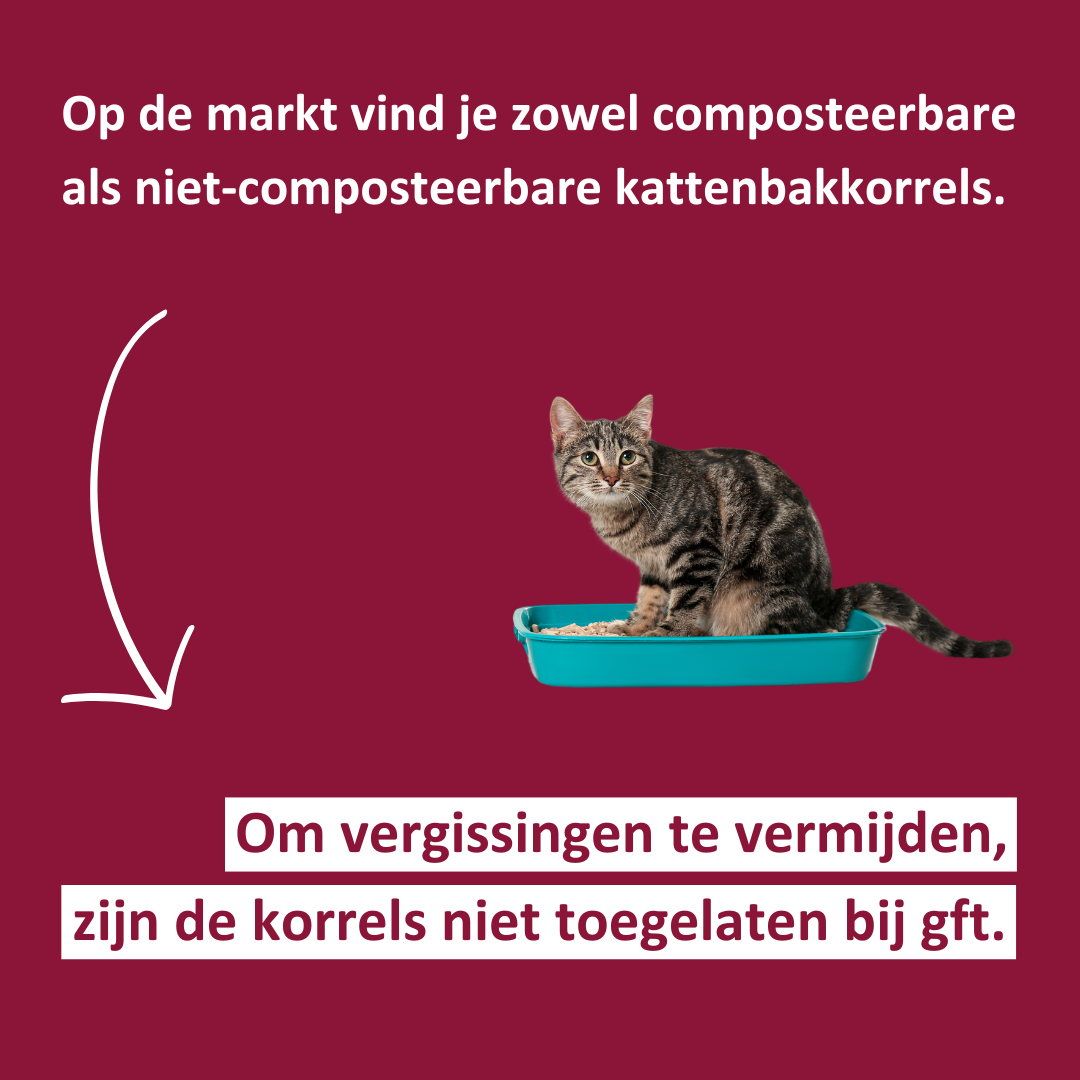 Kattenbakkorrels 2