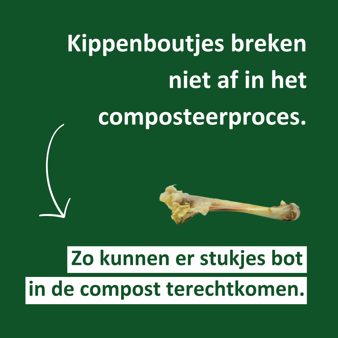 Kippenboutjes 2
