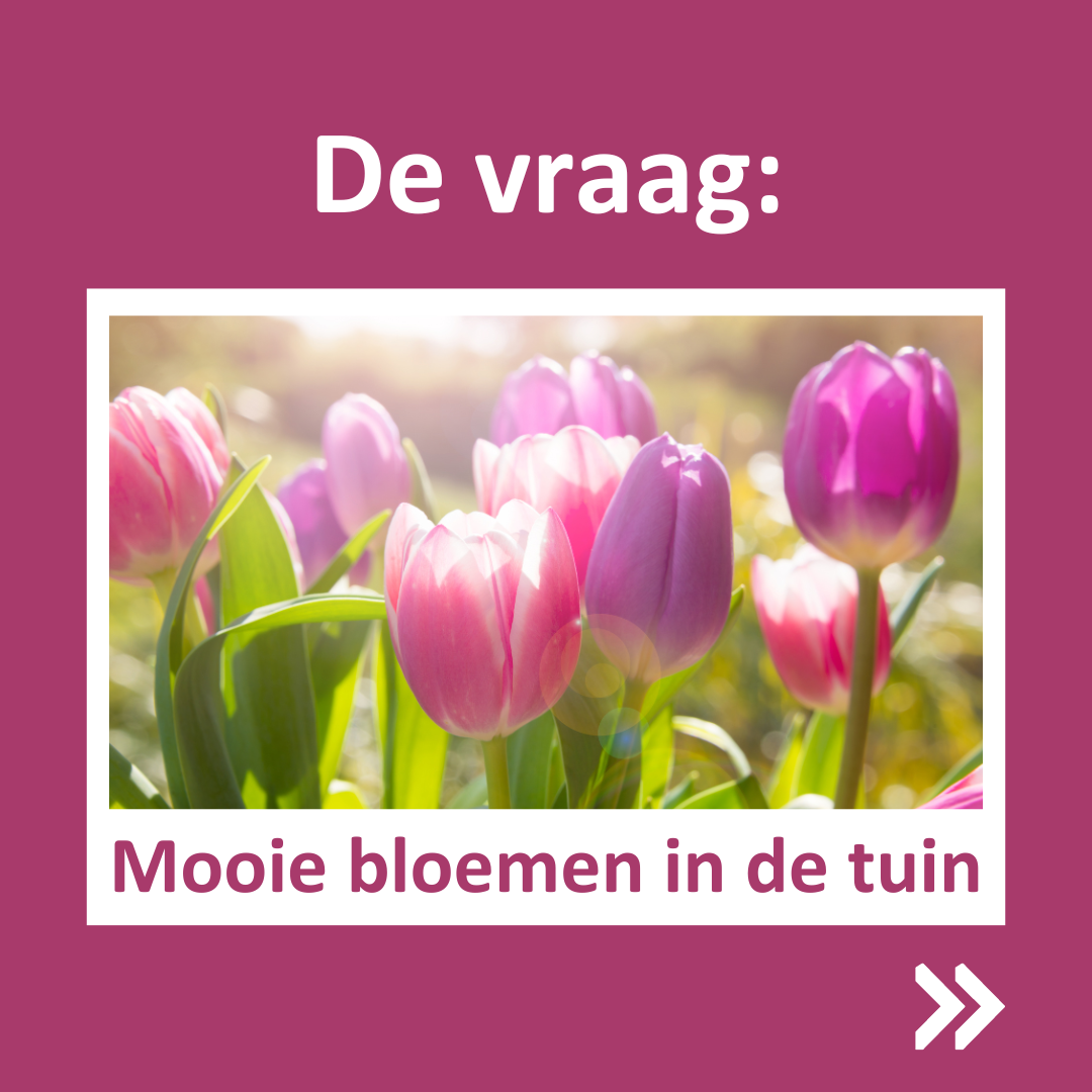Bloemen
