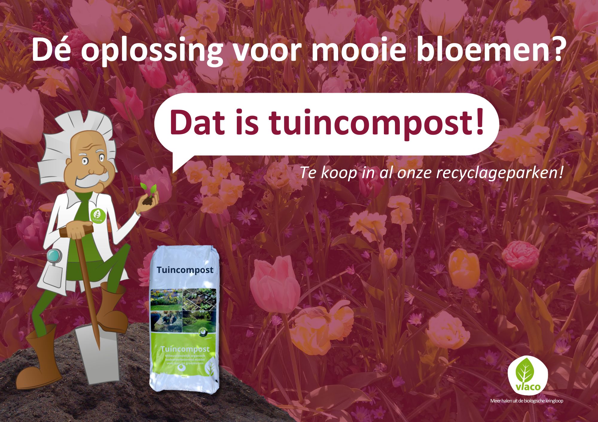 Bloemen