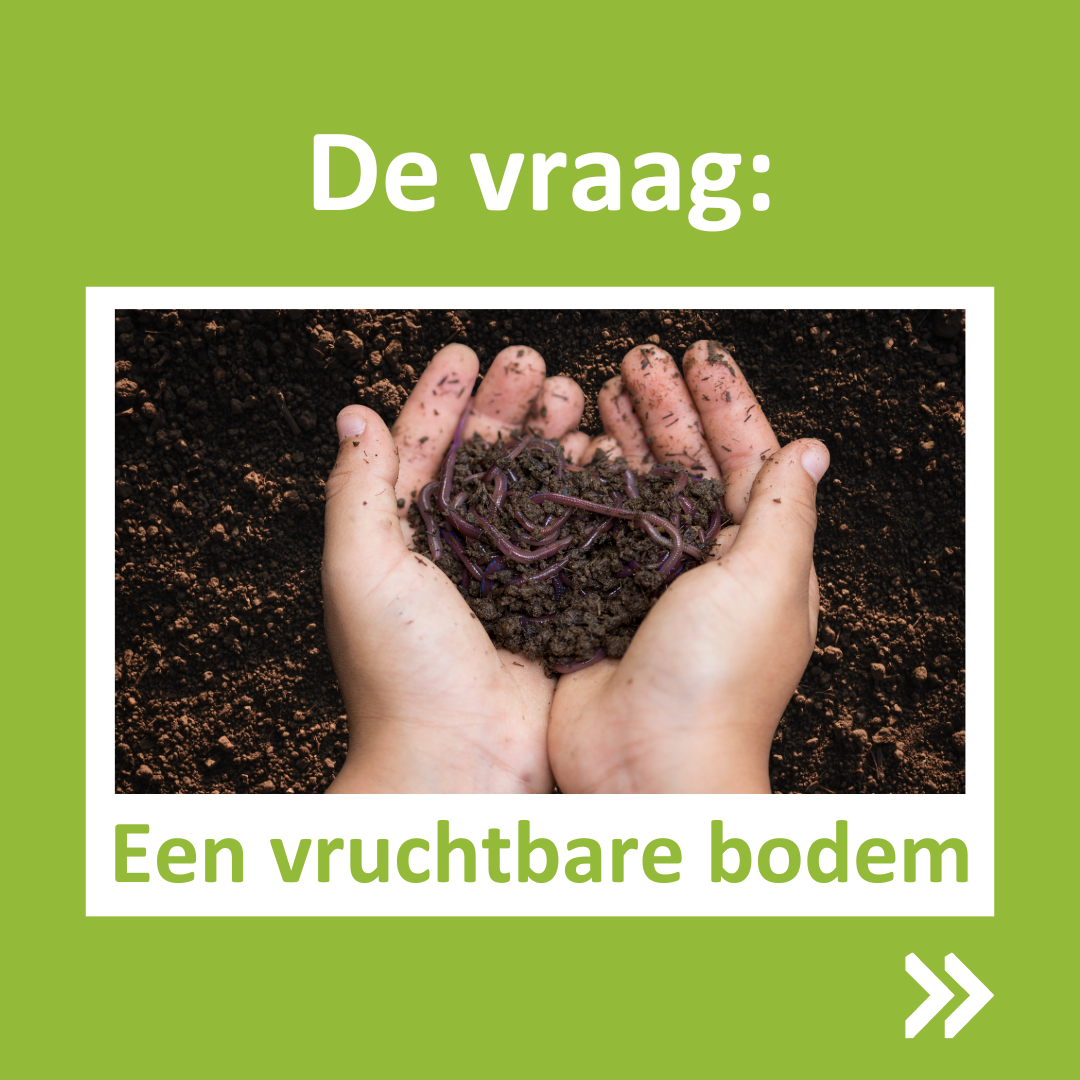 Bodem