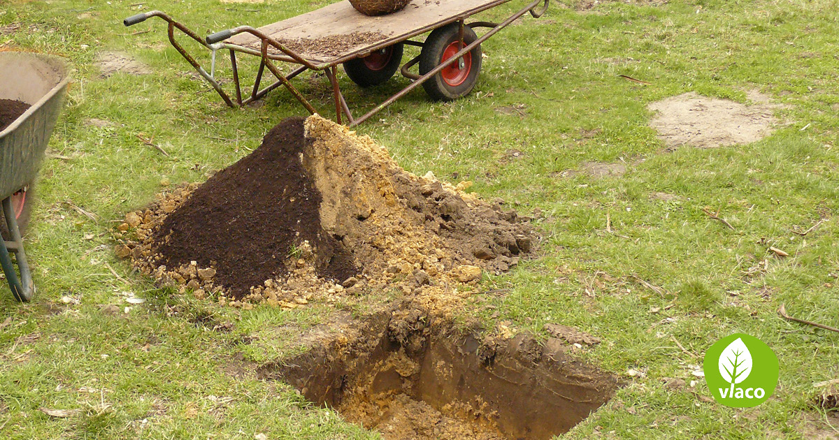 Bomen aanplanten met compost