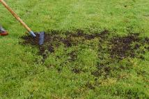 compost voor gazon