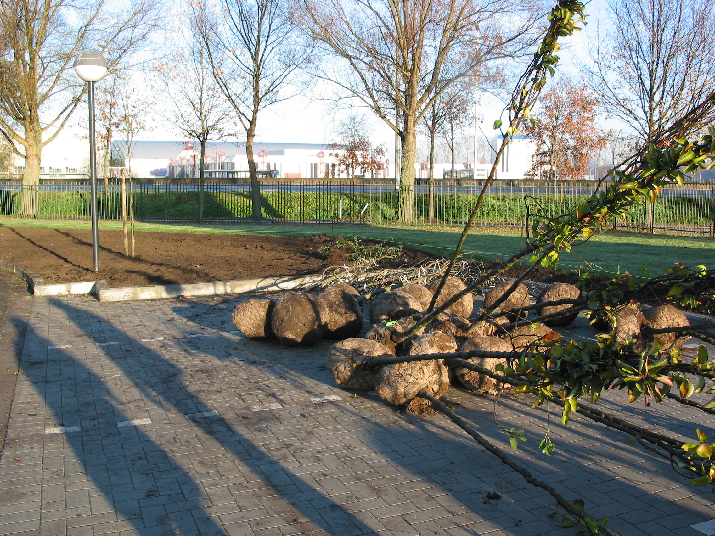 Groenvoorziening 2
