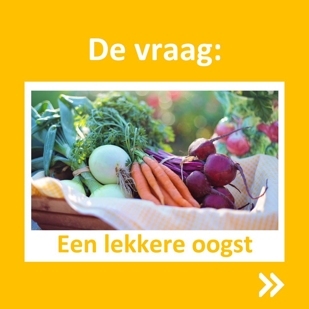 Oogst