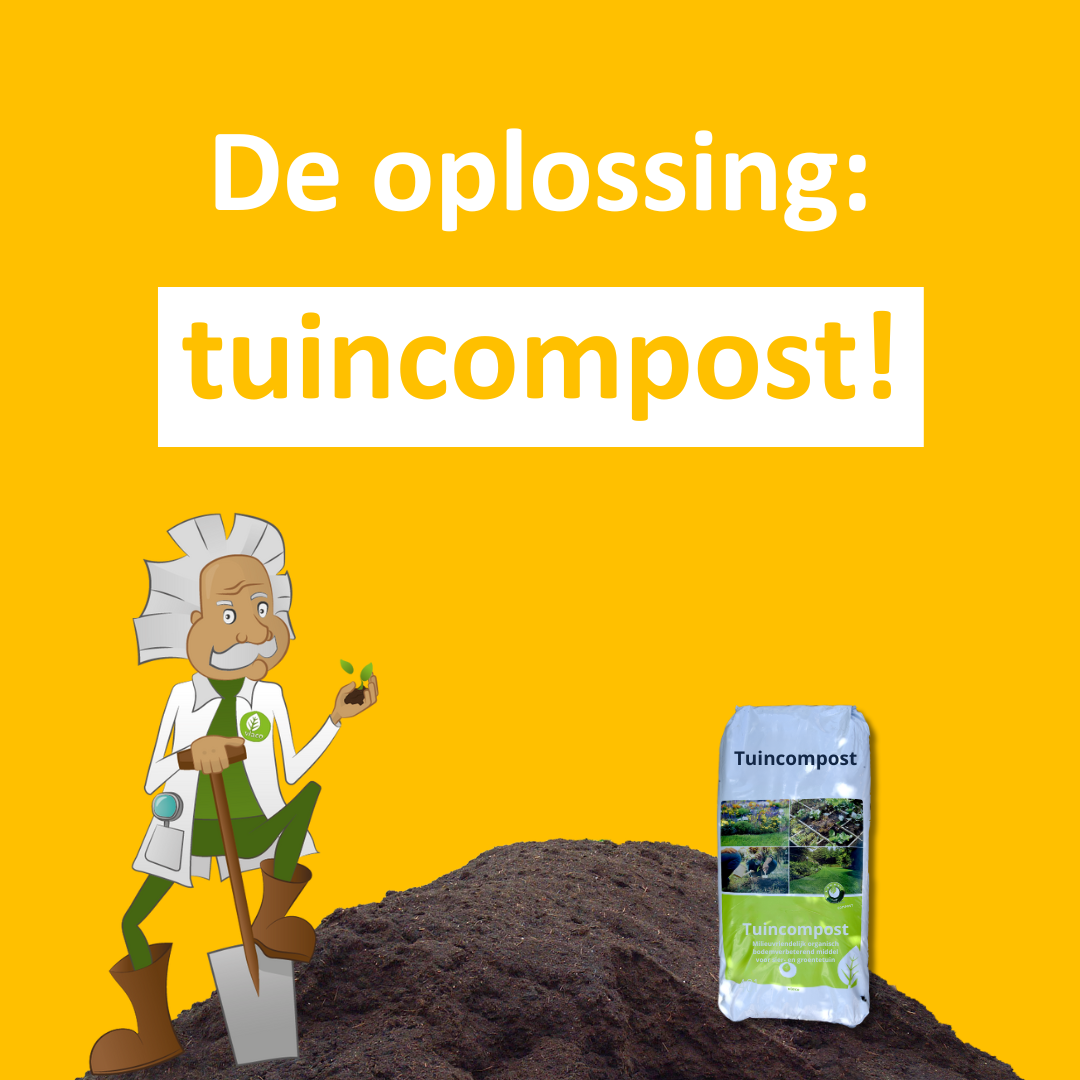 Oogst 2