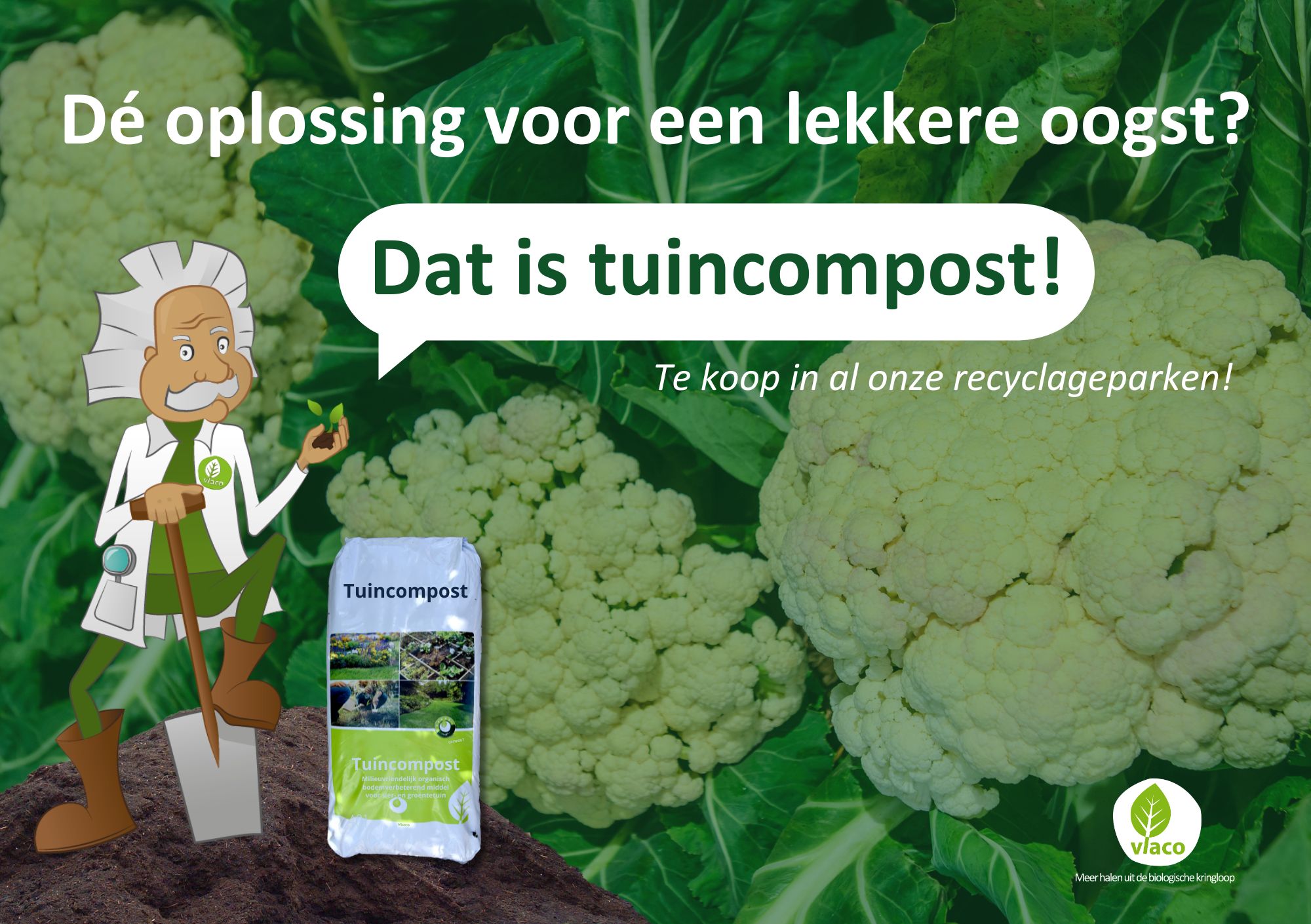 Oogst