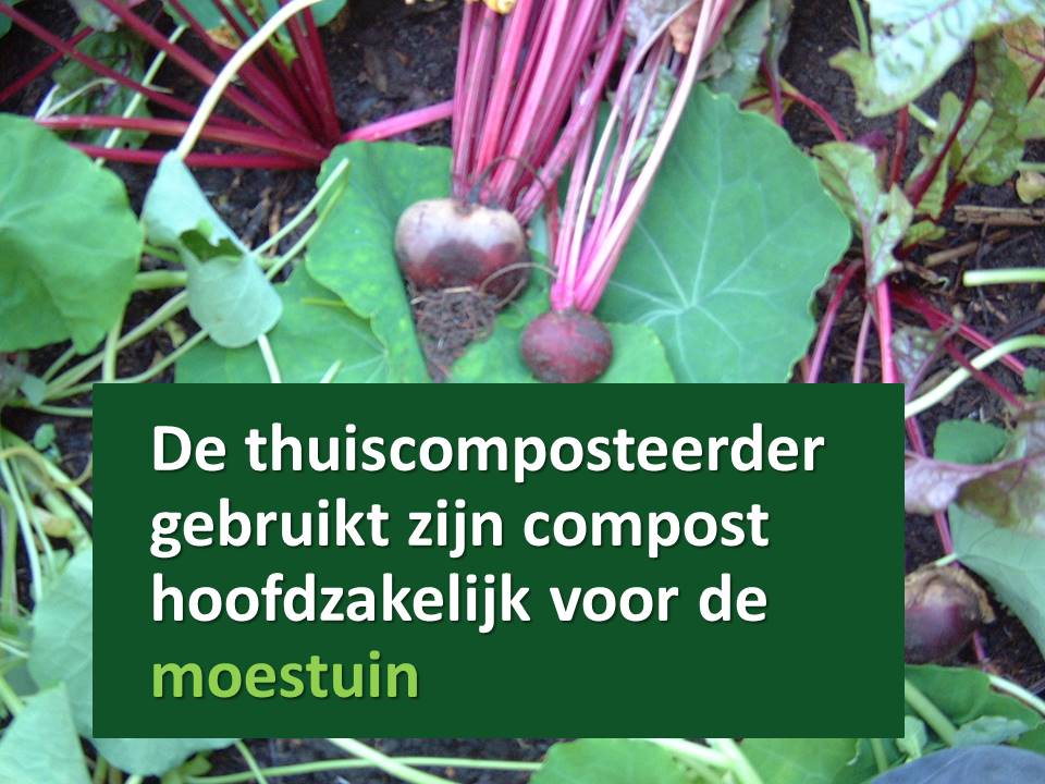 Thuiscompost gebruiken voor de moestuin
