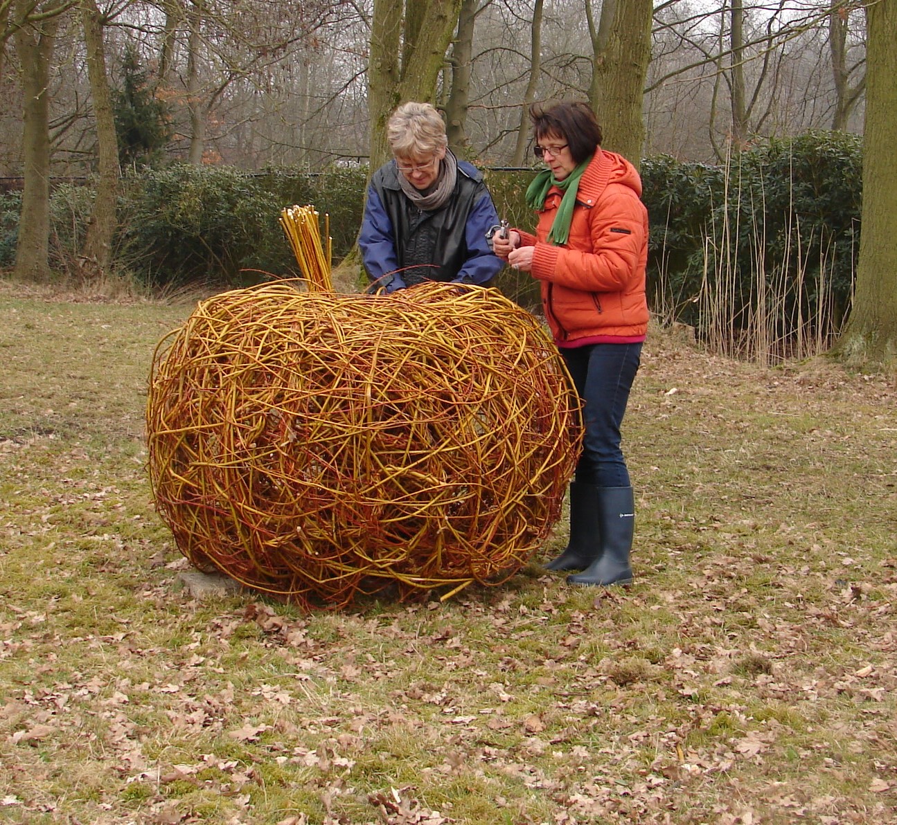 Appel van wilgensnoeihout