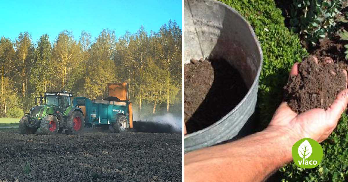 Compost helpt de droge bodem