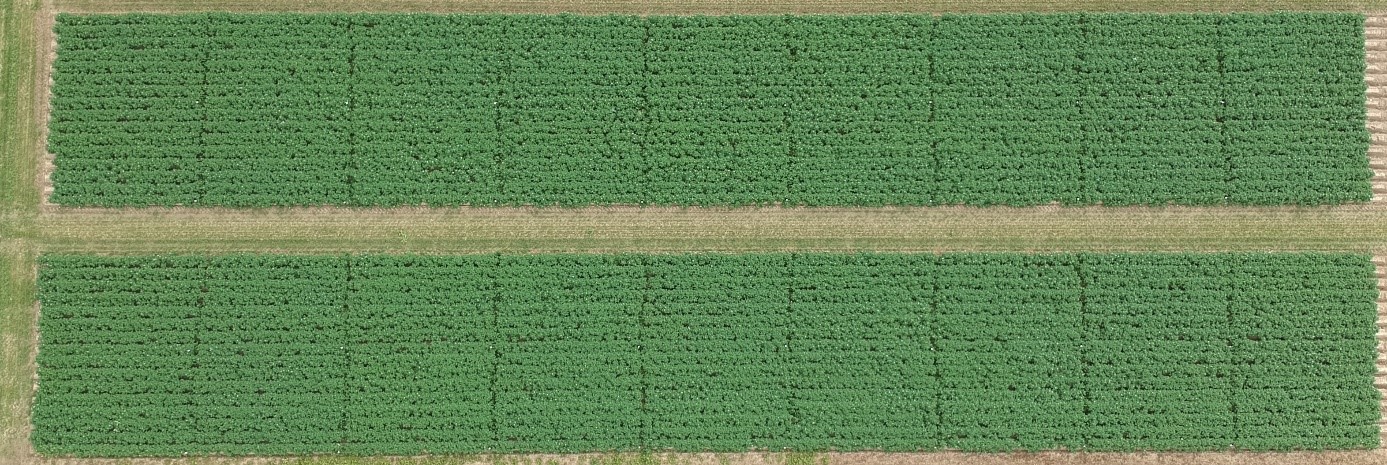 Eindbeeld luchtfoto