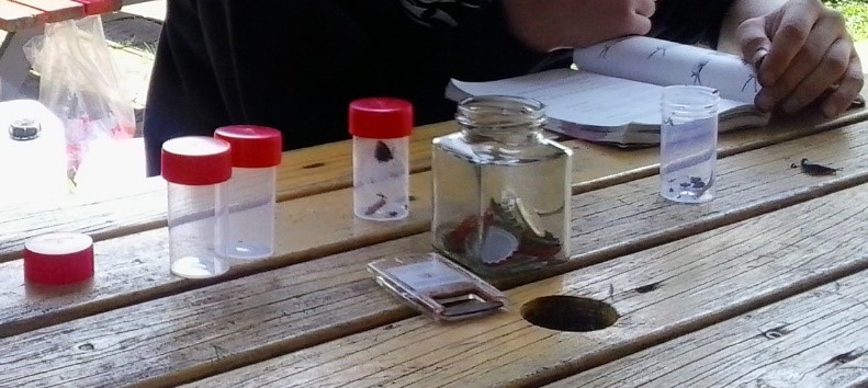Onderzoek