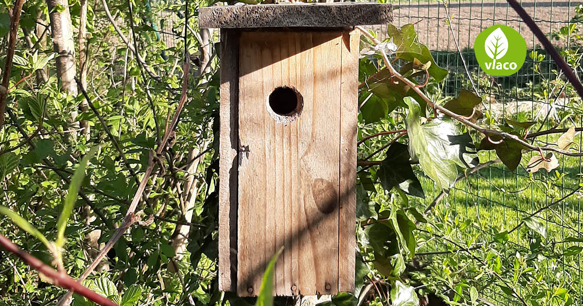 Vogelnestkastjes in je kringlooptuin